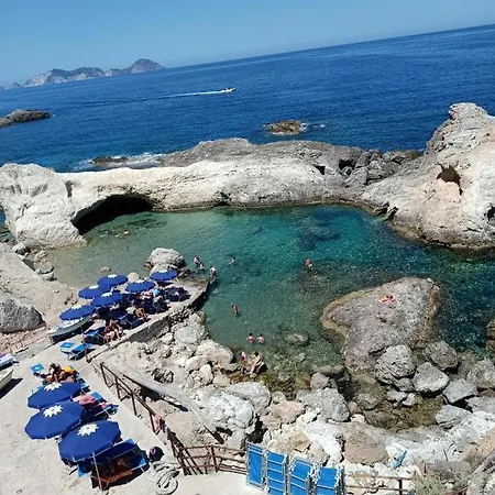 Monolocale Con Balcone Conchiglie Fiori A Le Forna Apartman Ponza
